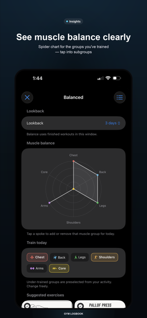 Insights spider chart showing muscle balance across trained groups.